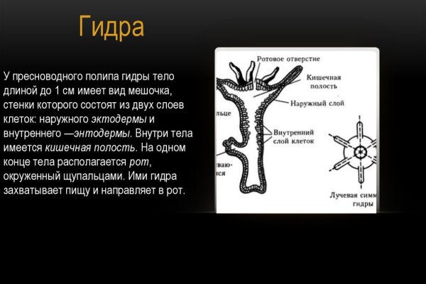 Как зайти на гидру через тор браузер