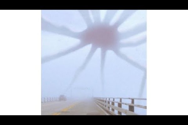 Кракен точка