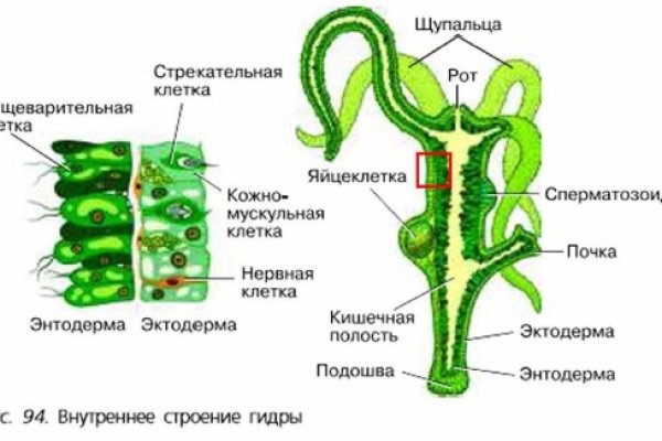 Кракен сайт что будет если зайти